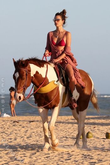 Full leaked Alessandra ambrosio page private onlyfans photo