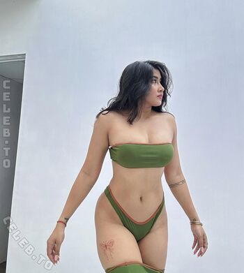 Full leaked Sofia ansari page private onlyfans photo